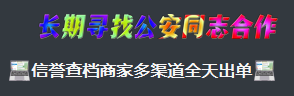 基层干警也查不到的公民信息,暗网却能秒出 基层干警也查不到的公民信息,暗网却能秒出