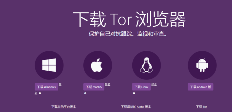 2026 暗网访问教程：从下载 Tor Browser 到首次连接